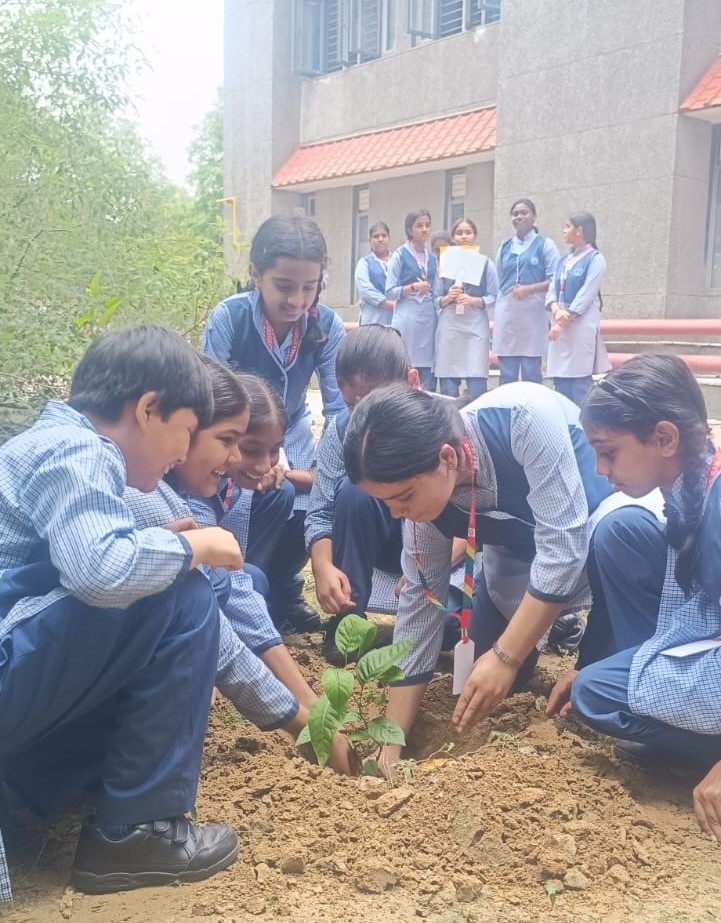 एक पेड़ - माँ के नाम !